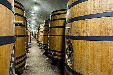 《堕落之主》常见问题解答 PC版支持DLSS和FSR 有二周目模式